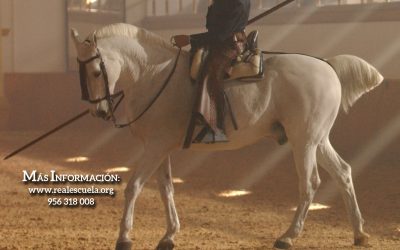 La Real Escuela Andaluza del Arte Ecuestre incrementa  sus exhibiciones con motivo de la Feria del Caballo