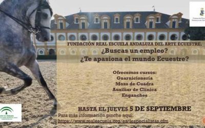 La Real Escuela Andaluza del Arte Ecuestre amplía el plazo de recepción de solicitudes y documentación para la inscripción en sus cursos de formación de especialistas hasta el jueves 5 de septiembre de 2019.