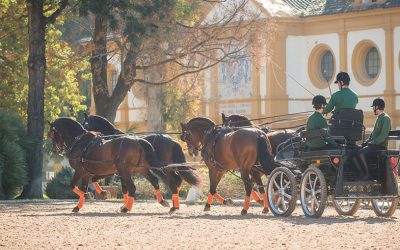 Modificación en las condiciones de acceso a los cursos de Enganches y Auxiliar de Clínica