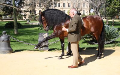 La Real Escuela y González Byass fusionan en una cata caballos y vino