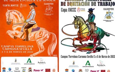 Próximos Concursos en el Campus Real Escuela Torreluna